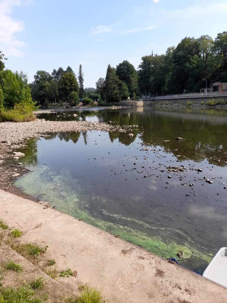 Nachtangeln 2022 Waldheim