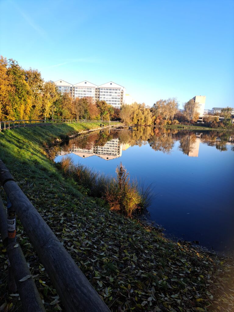 Umwelttag 2024 (1)